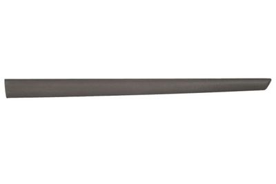 Trim/Protection Strip, wing BLIC 5703-04-2564572CP