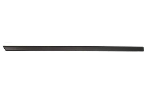 BLIC 5703-04-2564575P Trim/Protection Strip, wing