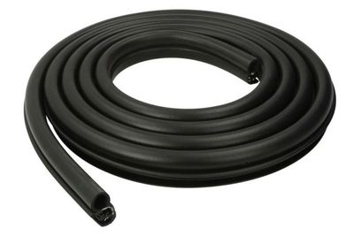Door Seal BLIC 5703-04-2565503P