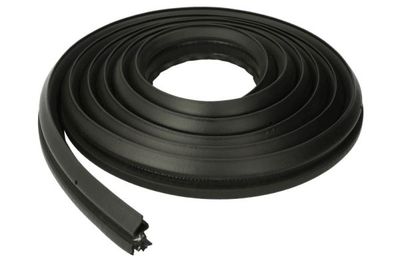 Door Seal BLIC 5703-04-2565507P
