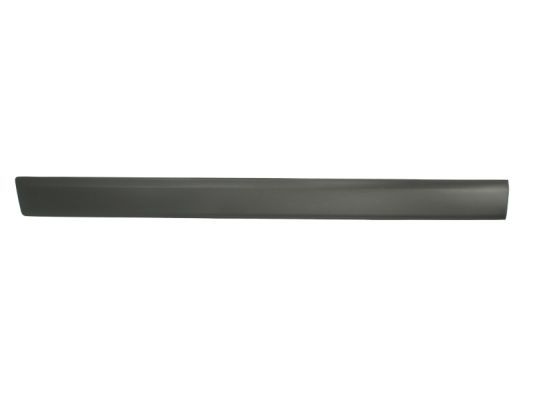 BLIC 5703-04-2576571PP Trim/Protection Strip, wing