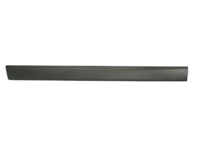 Trim/Protection Strip, wing BLIC 5703-04-2576571PP