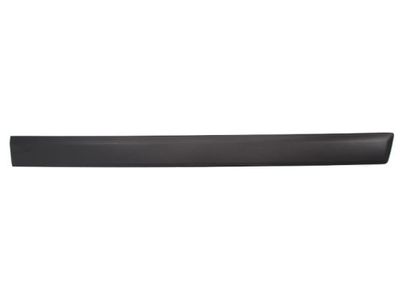 Trim/Protection Strip, wing BLIC 5703-04-2576572PP
