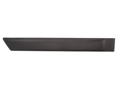Trim/Protection Strip, wing BLIC 5703-04-2576574PP