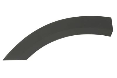 Trim/Protection Strip, wing BLIC 5703-04-2595477P