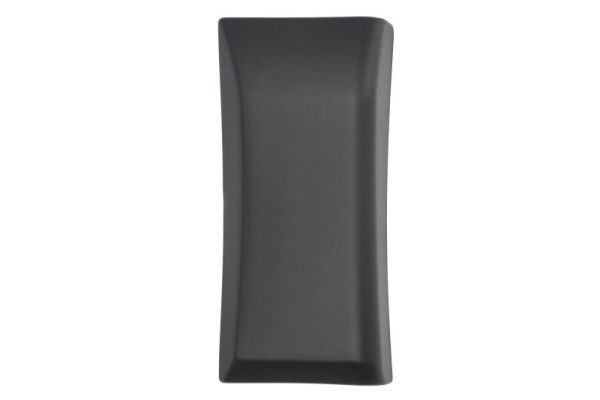 BLIC 5703-04-2617581P Trim/Protection Strip, quarter panel