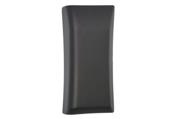 BLIC 5703-04-2617582P Trim/Protection Strip, quarter panel