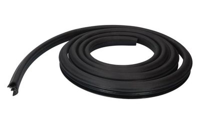 Door Seal BLIC 5703-04-3127503P