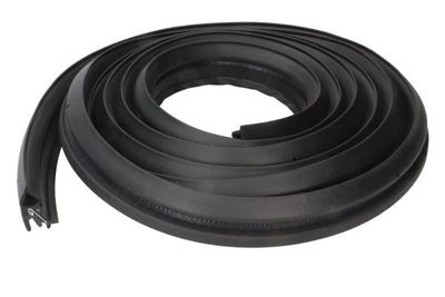 Door Seal BLIC 5703-04-3127507P