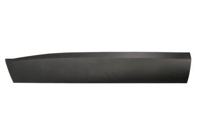 Trim/Protection Strip, door BLIC 5703-04-3216571P