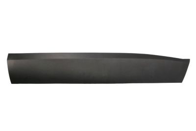 Trim/Protection Strip, door BLIC 5703-04-3216572P
