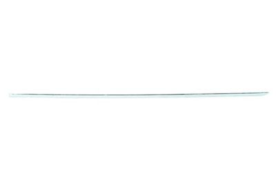 Trim/Protection Strip, door BLIC 5703-04-3529574P