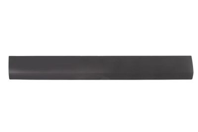 Trim/Protection Strip, door BLIC 5703-04-3547588P