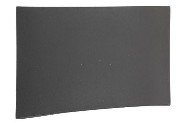 BLIC 5703-04-3548590P Trim/Protection Strip, quarter panel