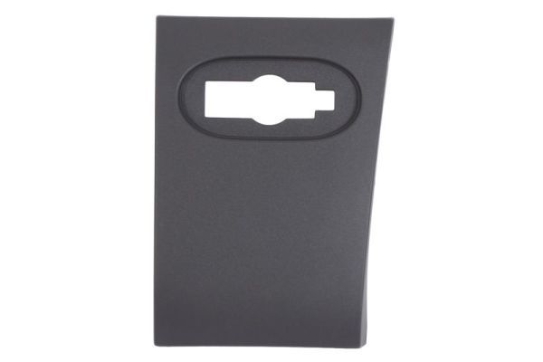 BLIC 5703-04-3548591P Trim/Protection Strip, quarter panel