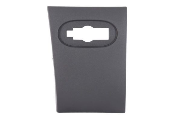 BLIC 5703-04-3548592P Trim/Protection Strip, quarter panel