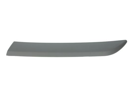 BLIC 5703-04-5024477P Trim/Protection Strip, wing