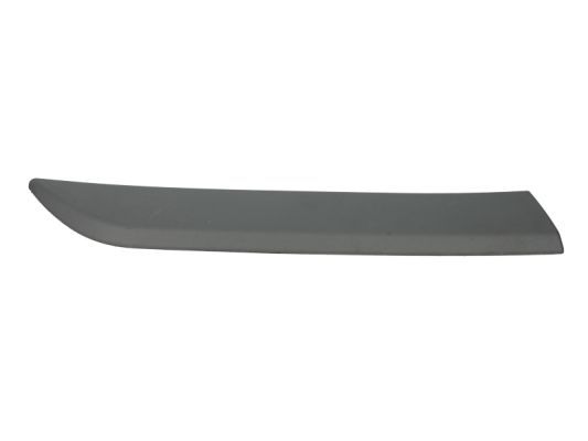 BLIC 5703-04-5024478P Trim/Protection Strip, wing
