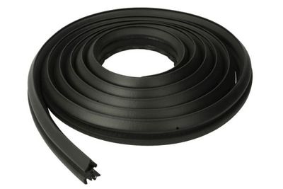 Door Seal BLIC 5703-04-5050507P