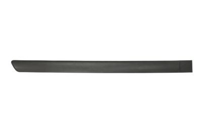 Trim/Protection Strip, wing BLIC 5703-04-5051574P