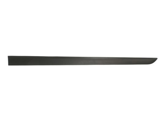 BLIC 5703-04-5052571P Trim/Protection Strip, wing