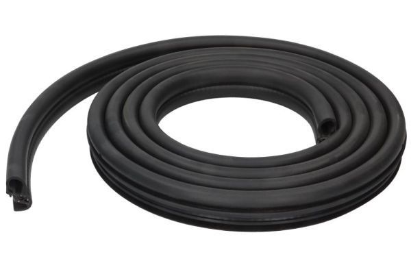 BLIC 5703-04-5078501P Door Seal