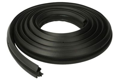 Door Seal BLIC 5703-04-5503507P
