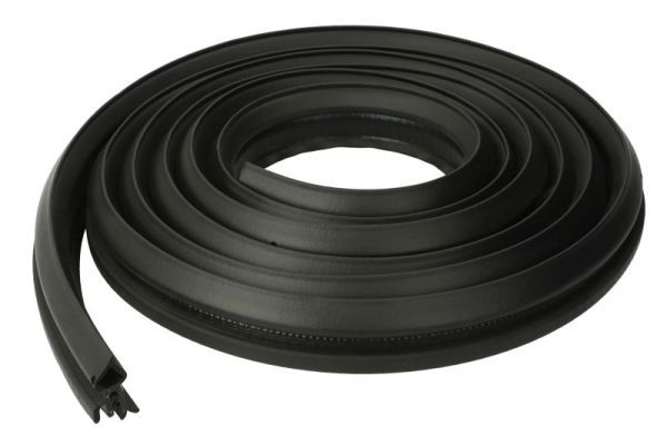 BLIC 5703-04-5519507P Door Seal