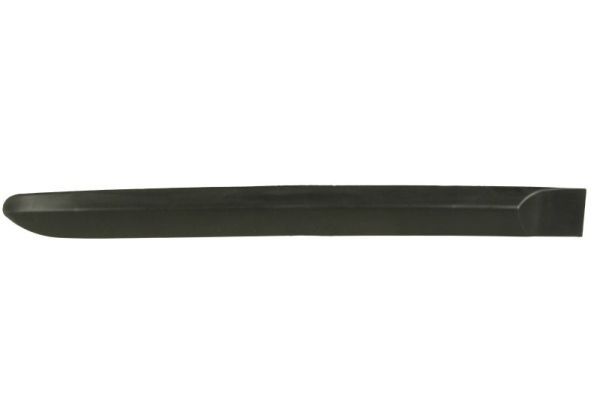 BLIC 5703-04-5519574P Trim/Protection Strip, wing