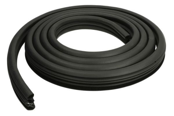 BLIC 5703-04-5527503P Door Seal