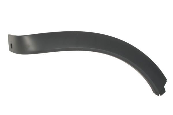 BLIC 5703-04-5721594P Trim/Protection Strip, wing