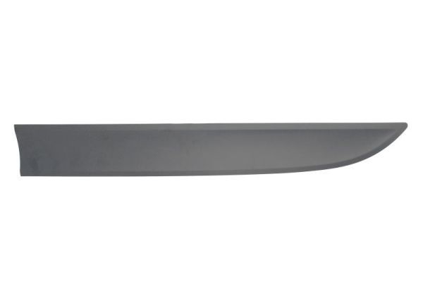 BLIC 5703-04-5724571P Trim/Protection Strip, door