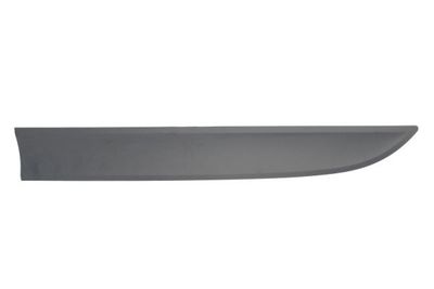 Trim/Protection Strip, door BLIC 5703-04-5724571P