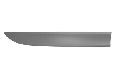 Trim/Protection Strip, door BLIC 5703-04-5724572P