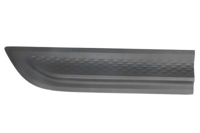 Trim/Protection Strip, door BLIC 5703-04-5724586P