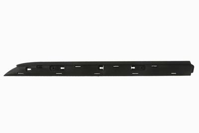 Trim/Protection Strip, door BLIC 5703-04-6001573P