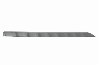 Trim/Protection Strip, door BLIC 5703-04-6001578P