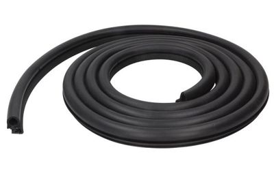 Door Seal BLIC 5703-04-6010506P