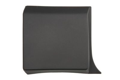 Trim/Protection Strip, wing BLIC 5703-04-6063582P