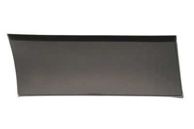 Trim/Protection Strip, wing BLIC 5703-04-6063584PP