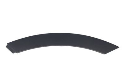 Trim/Protection Strip, door BLIC 5703-04-6456573P