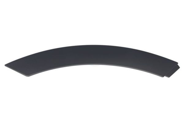 BLIC 5703-04-6456574P Trim/Protection Strip, door