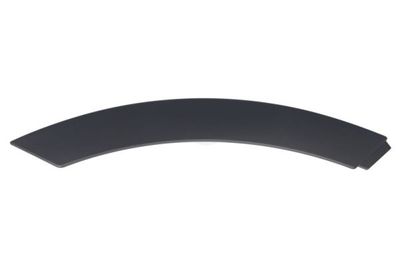 Trim/Protection Strip, door BLIC 5703-04-6456574P