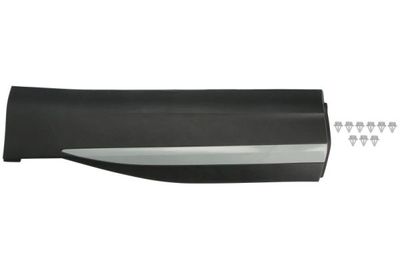 Trim/Protection Strip, door BLIC 5703-04-7802575P