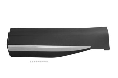 Trim/Protection Strip, door BLIC 5703-04-7802576P