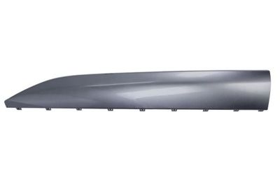 Trim/Protection Strip, door BLIC 5703-04-7900573P