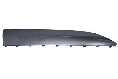 Trim/Protection Strip, door BLIC 5703-04-7900574P