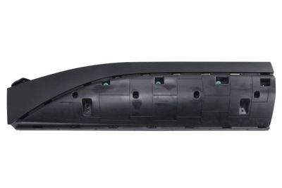 Trim/Protection Strip, door BLIC 5703-04-7900576P