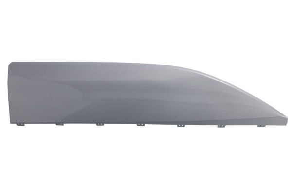 BLIC 5703-04-7900577P Trim/Protection Strip, door