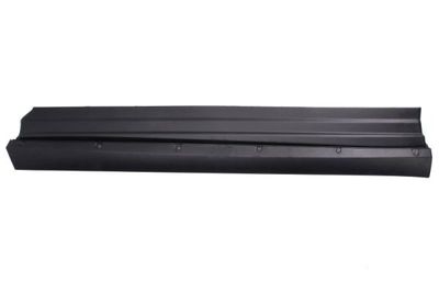 Trim/Protection Strip, door BLIC 5703-04-8166571P